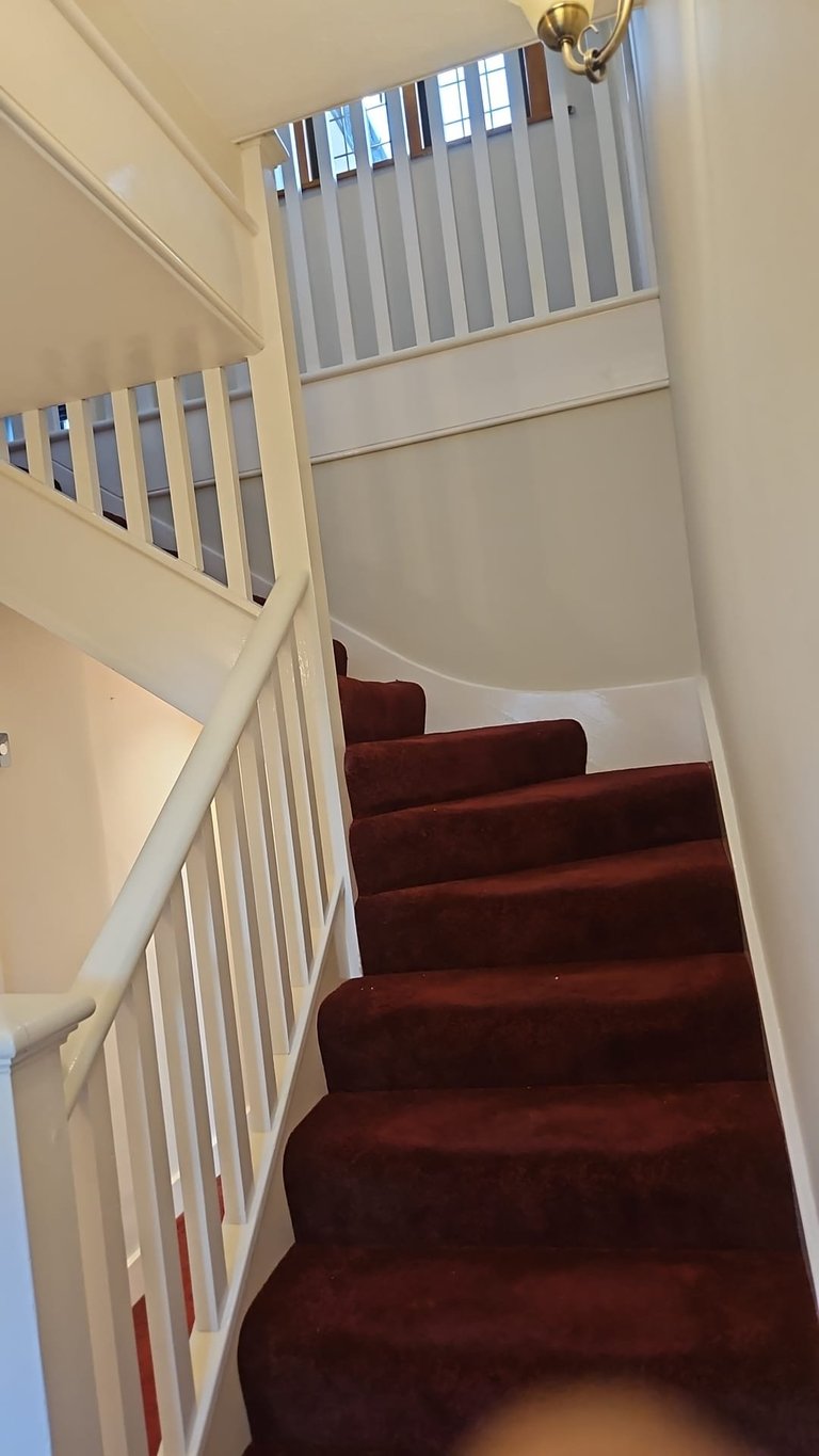 Staircase with burgundy carpet descending between cream and white walls with white railings and multiple windows above